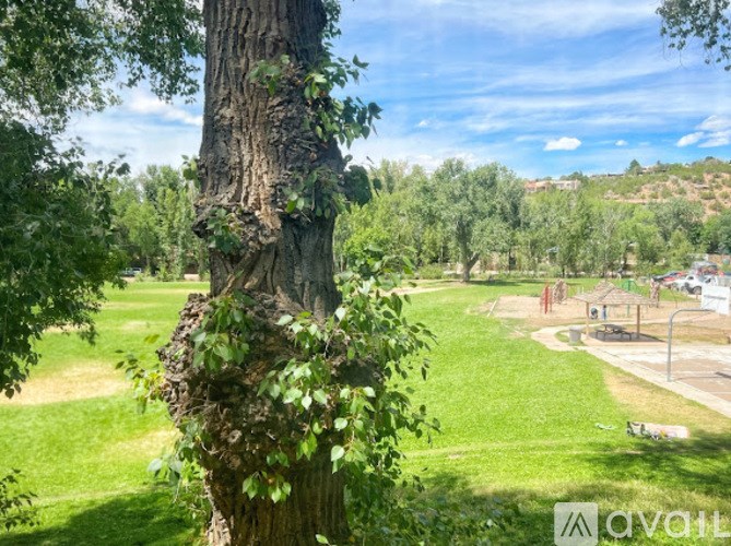 A tree trunk with green leaves in the foreground and a playground in the distance.