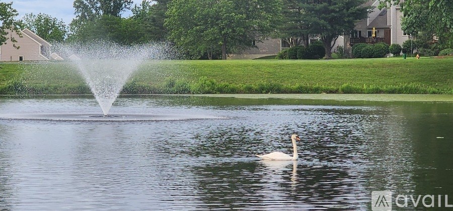 A pathway runs alongside a body of water with trees on the side.