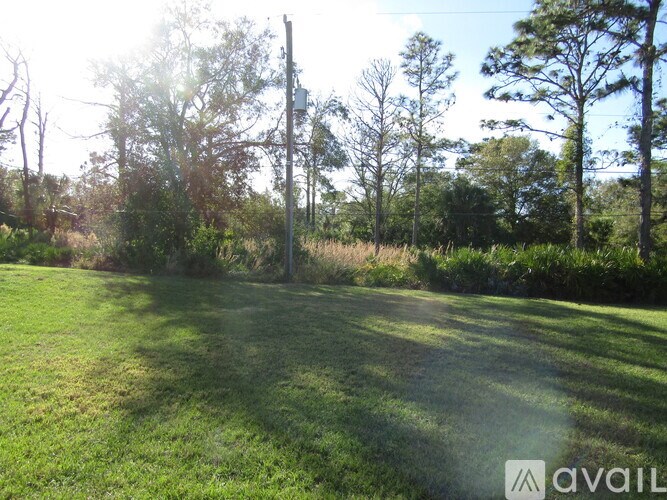 A grassy field with trees and a utility pole in the distance.