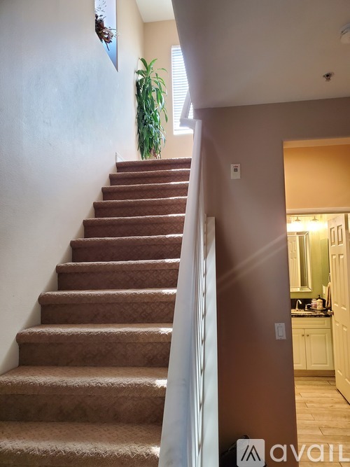 A brown carpeted staircase leads to a kitchen area.