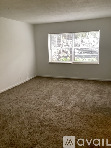 A room with a carpet floor and a wooden counter top.