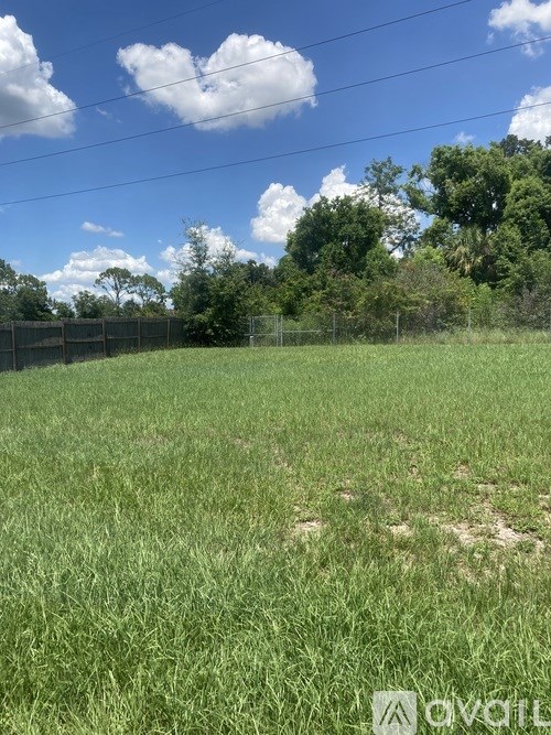 A field with green grass and a fence in the background.