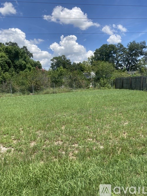 A field with green grass and trees in the background.