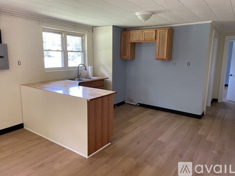 A kitchen with a sink and a window.