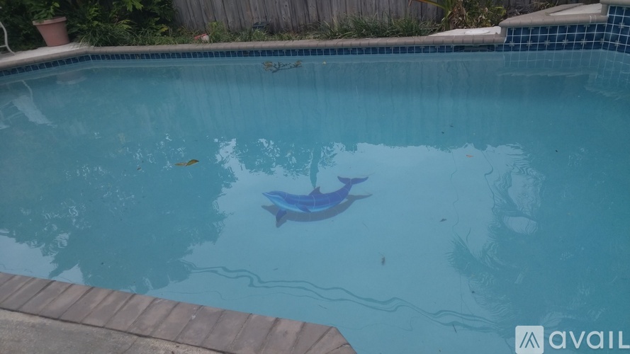 A blue inflatable shark is floating in a swimming pool.