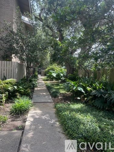 A narrow pathway surrounded by greenery and trees.