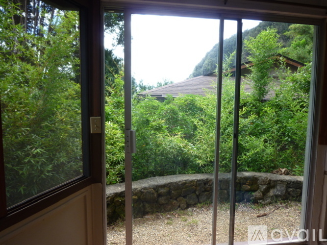 A view from inside a room looking out through a glass door to a garden.