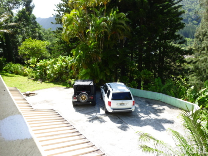 Two cars are parked on a curved road surrounded by greenery.