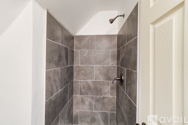 A bathroom with a shower stall and a white door.