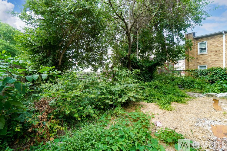 A backyard with a lot of greenery and a building in the background.