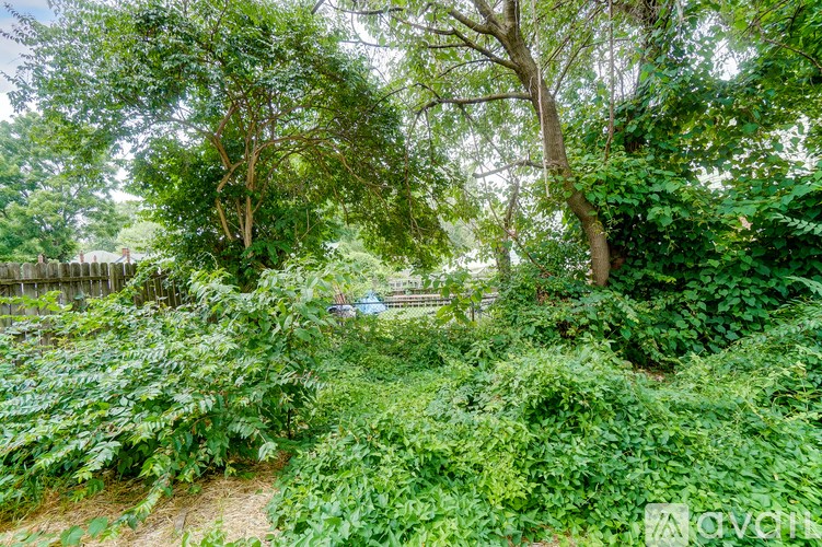 A lush green garden with a variety of plants and trees.