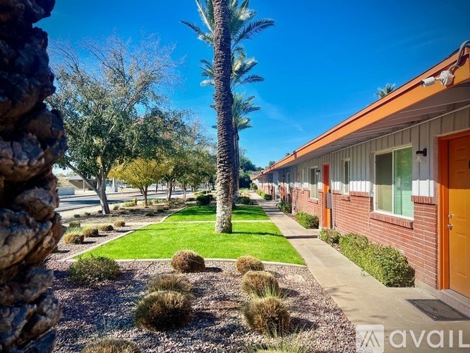 A view of a house with a palm tree in the front yard.
