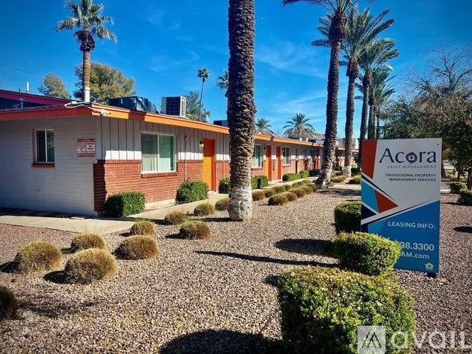 A sunny day at Acora Management Services with palm trees and a clear blue sky.