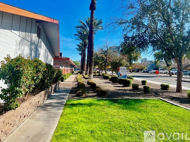 A street view with a palm tree and a building with a sign that reads "Avila".