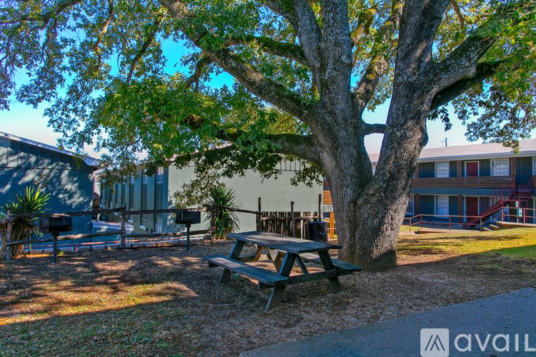 A picnic table is in front of a large tree.
