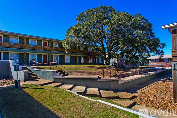 A large tree is in front of a building with a blue sky in the background.