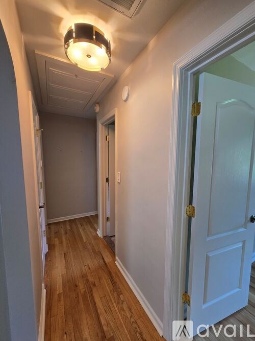 A hallway with a light on the ceiling and a door on the right.