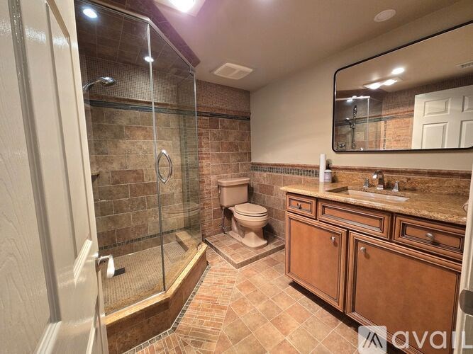 A bathroom with a walk-in shower, toilet, and vanity.