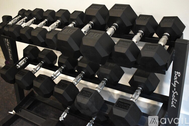 A set of black dumbbells are arranged on a rack.