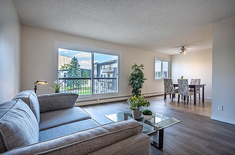 A living room with a grey couch and a glass coffee table.