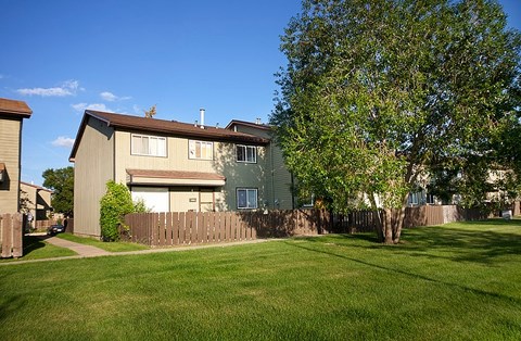 A house with a green tree in front of it.
