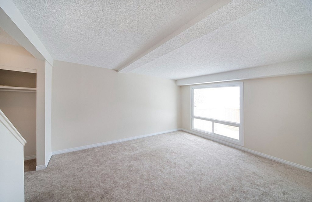 A large, empty room with a carpeted floor and a window letting in natural light.