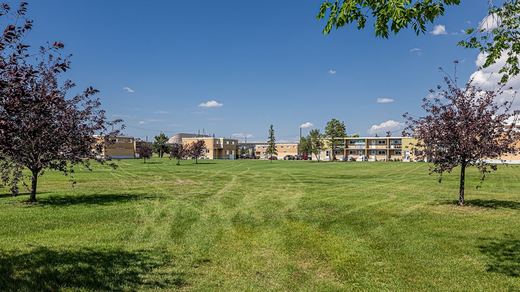A grassy field with trees and buildings in the distance under a blue sky.