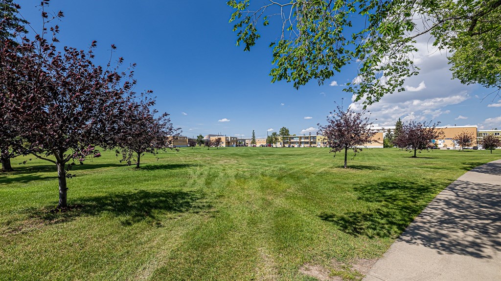 A park with a path and trees in the foreground.