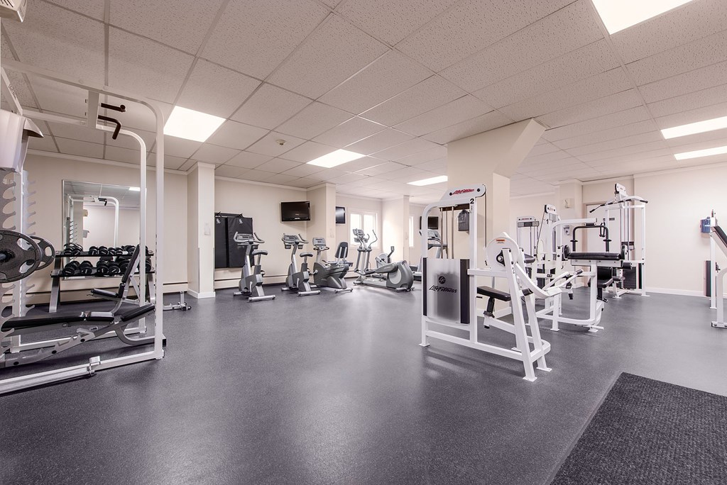 A gym with a variety of equipment including a treadmill, weights, and a bench press.