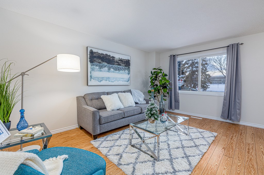 A living room with a grey couch, a glass coffee table, and a blue rug.