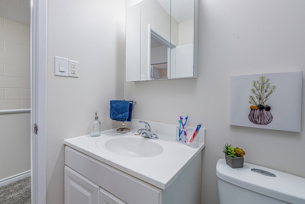 A bathroom with a white sink and a mirror above it.