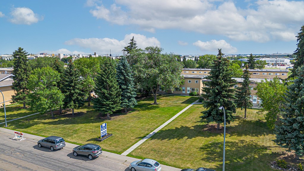 A parking lot with cars and trees in the background.