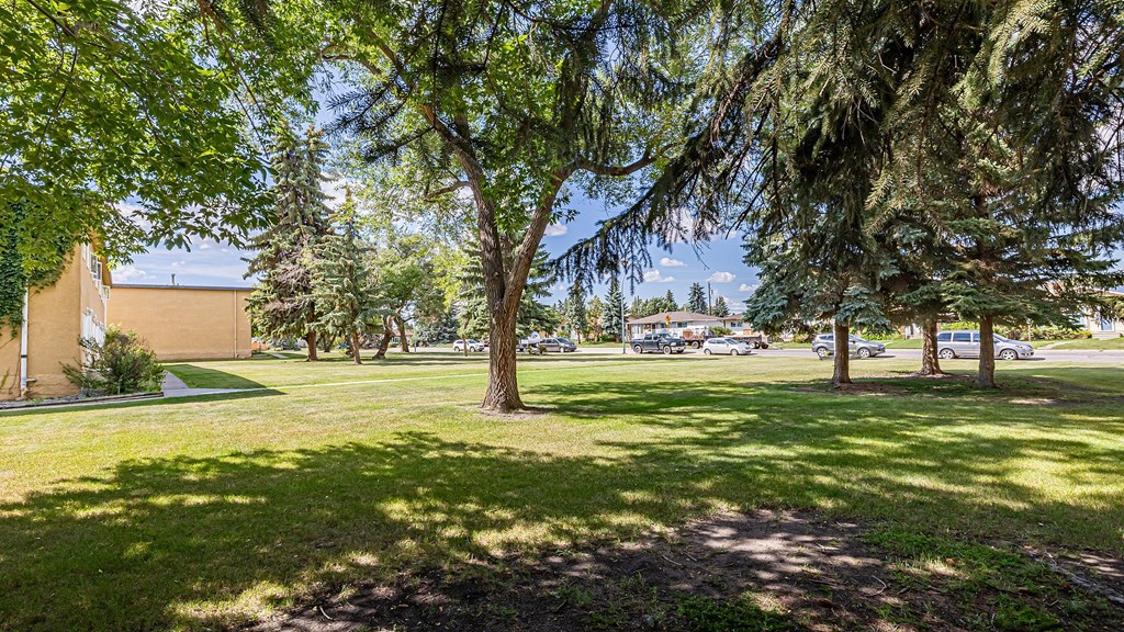 A tree in a grassy area with a building in the background.