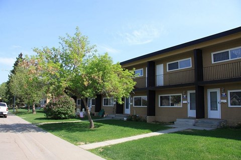 A tree in front of a building with a white door.