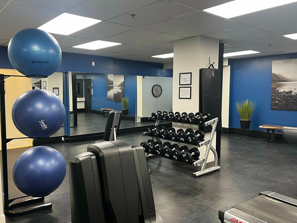 A gym with blue walls and a variety of exercise equipment.