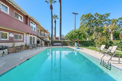 A swimming pool in a residential area with a palm tree.
