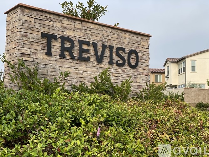 A stone wall with the word "TREVISO" written on it.