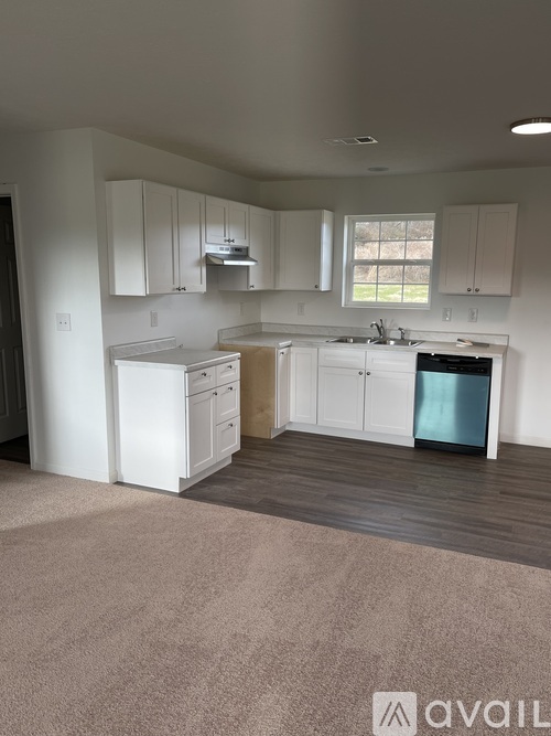 A kitchen with white cabinets and a blue dishwasher.