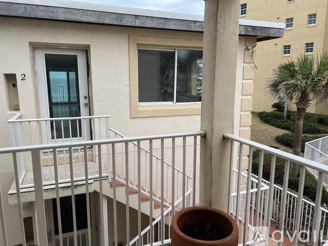 A balcony with a white railing and a potted plant.