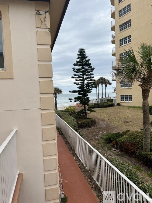 A view from a balcony looking out to a tree and a building.