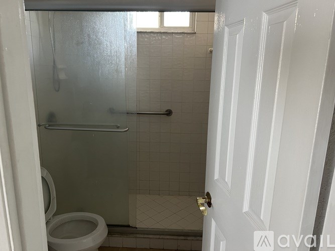 A bathroom with a toilet, shower, and a door.
