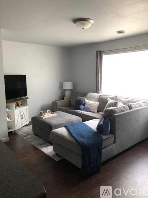 A living room with a grey couch and a blue blanket.