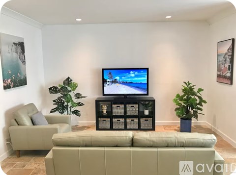 A living room with a television and two couches.