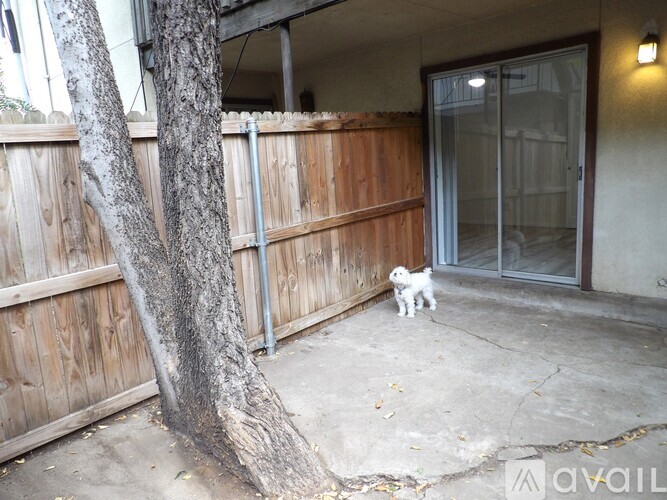 4314 Travis Street 1 Condo for Rent - Photo gallery 2