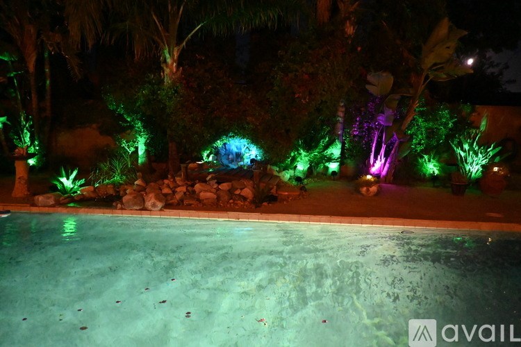 A pool surrounded by plants and trees at night.