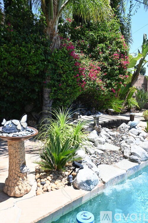 A pool surrounded by rocks and plants.