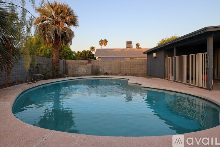 A pool surrounded by a concrete wall and a fence with a palm tree in the background.