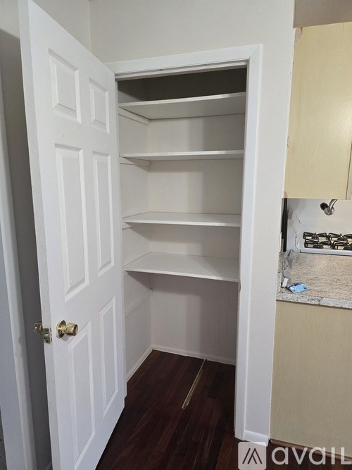 A white door with a gold handle is open to a pantry with empty shelves.