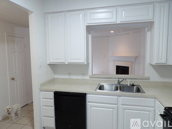 A dog is standing in a kitchen with white cabinets and a black dishwasher.