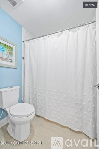 A white toilet sits next to a shower curtain in a bathroom.